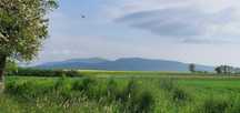 1216m2 Działka budowlana Uciechów ul. Wylotowa (widok na góry) 12a