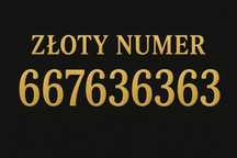 Złoty numer 667_63_63_63