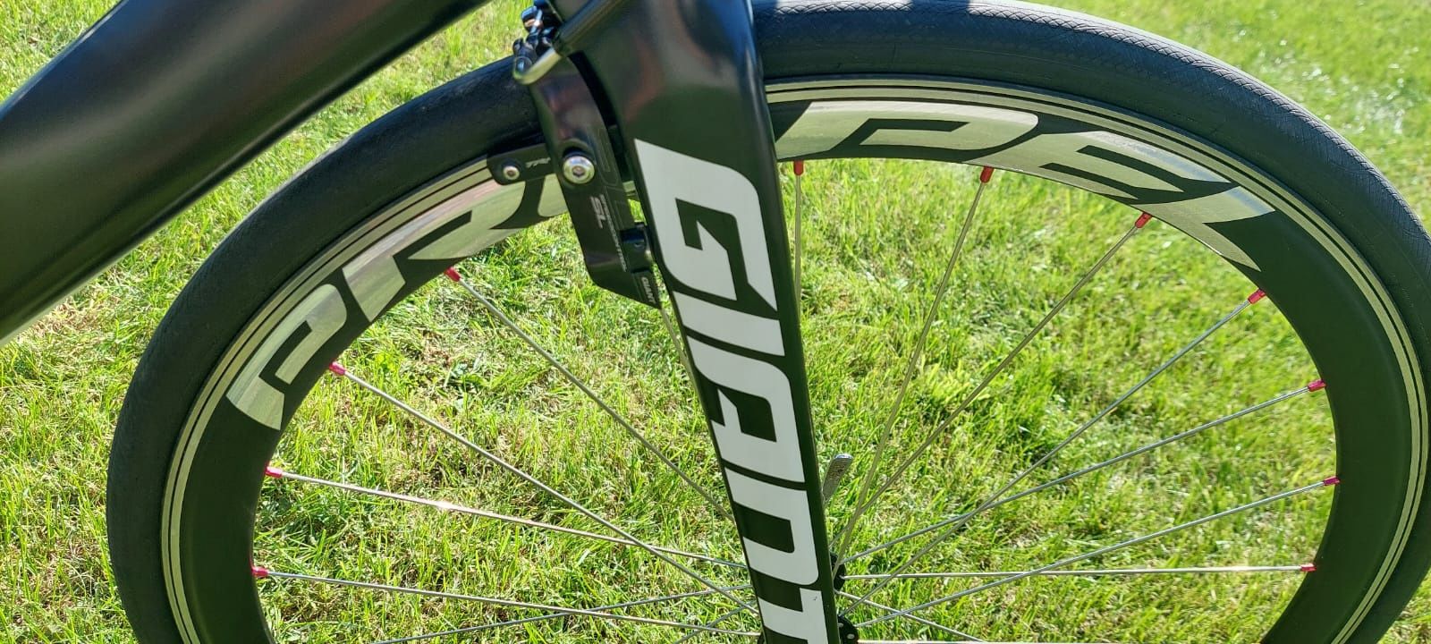 Szosa Giant Propel Advenced