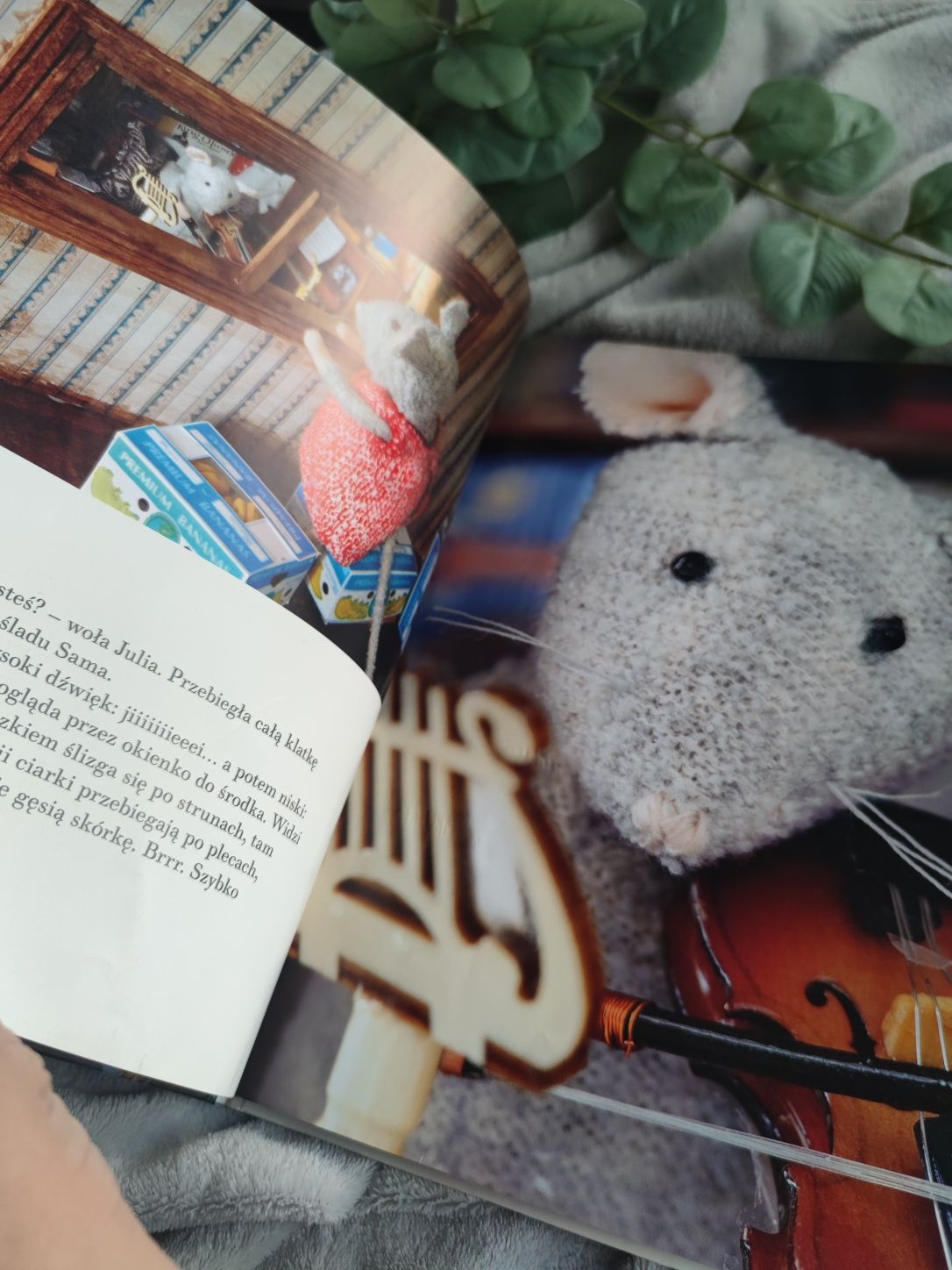 Mysi domek Sam i Julia książka dla dzieci