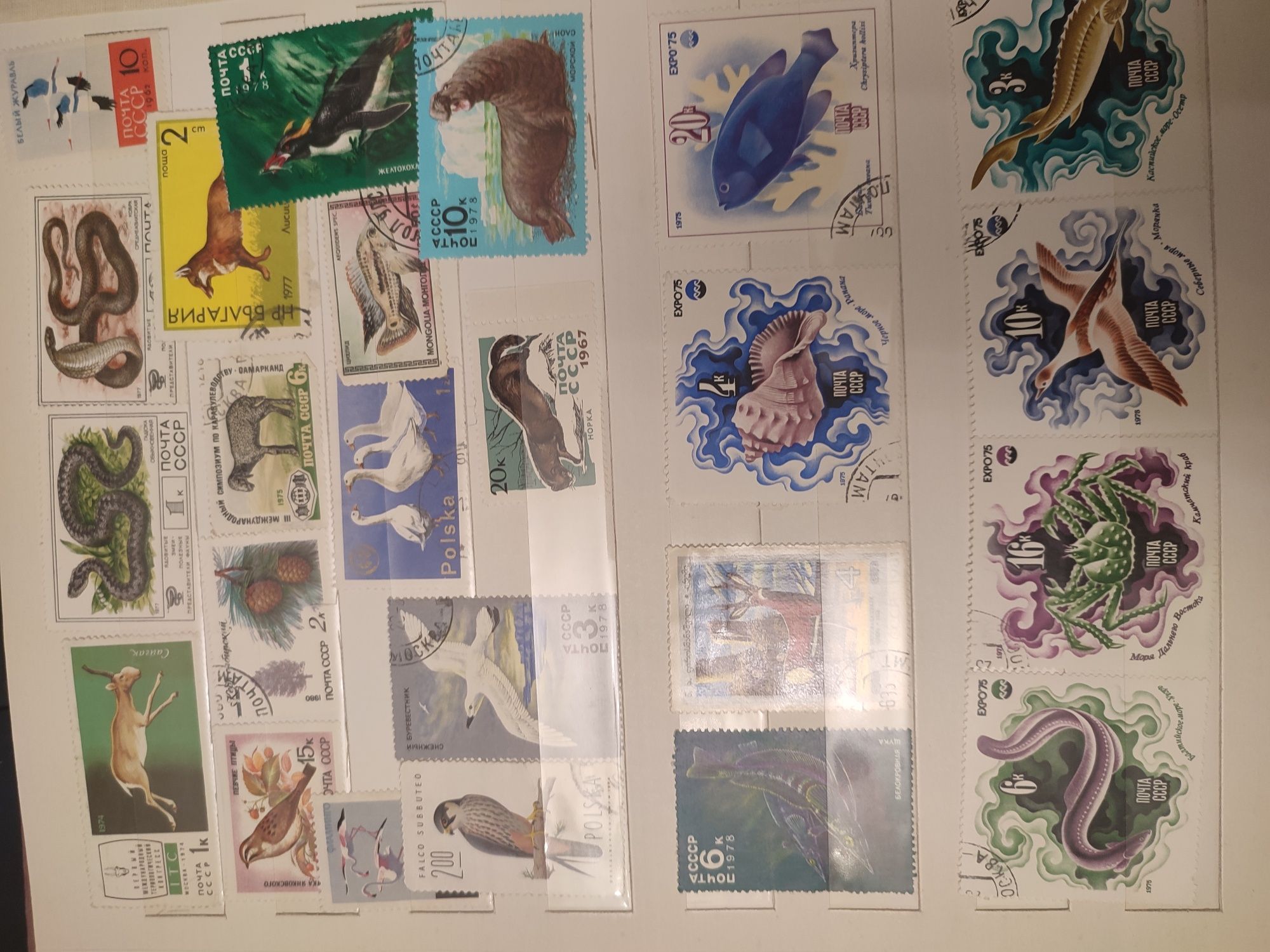 Колекція марок з різних країн.