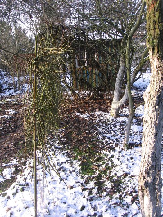 Sprzedaż działki ROD Odnowa Szczecin