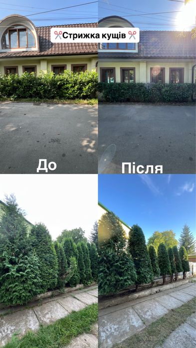 Благоустрій ділянок:косіння трави,обрізка дерев,вивіз сміття -Чернівці