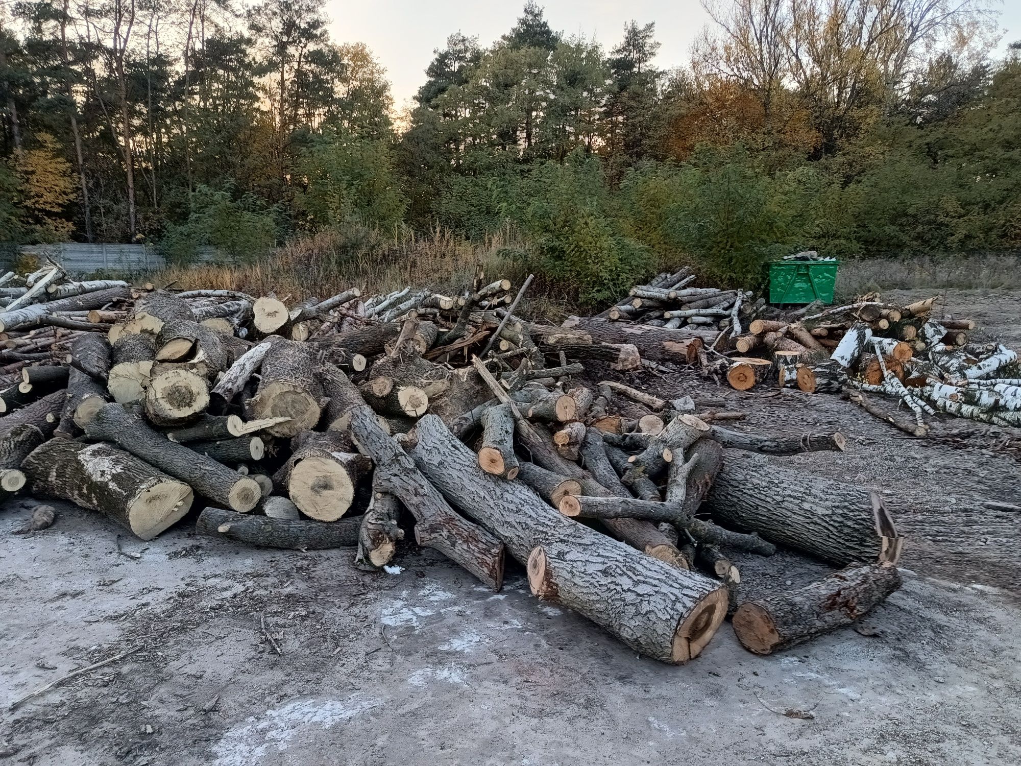 Drzewo drewno opałowe dąb sosna akacja inne