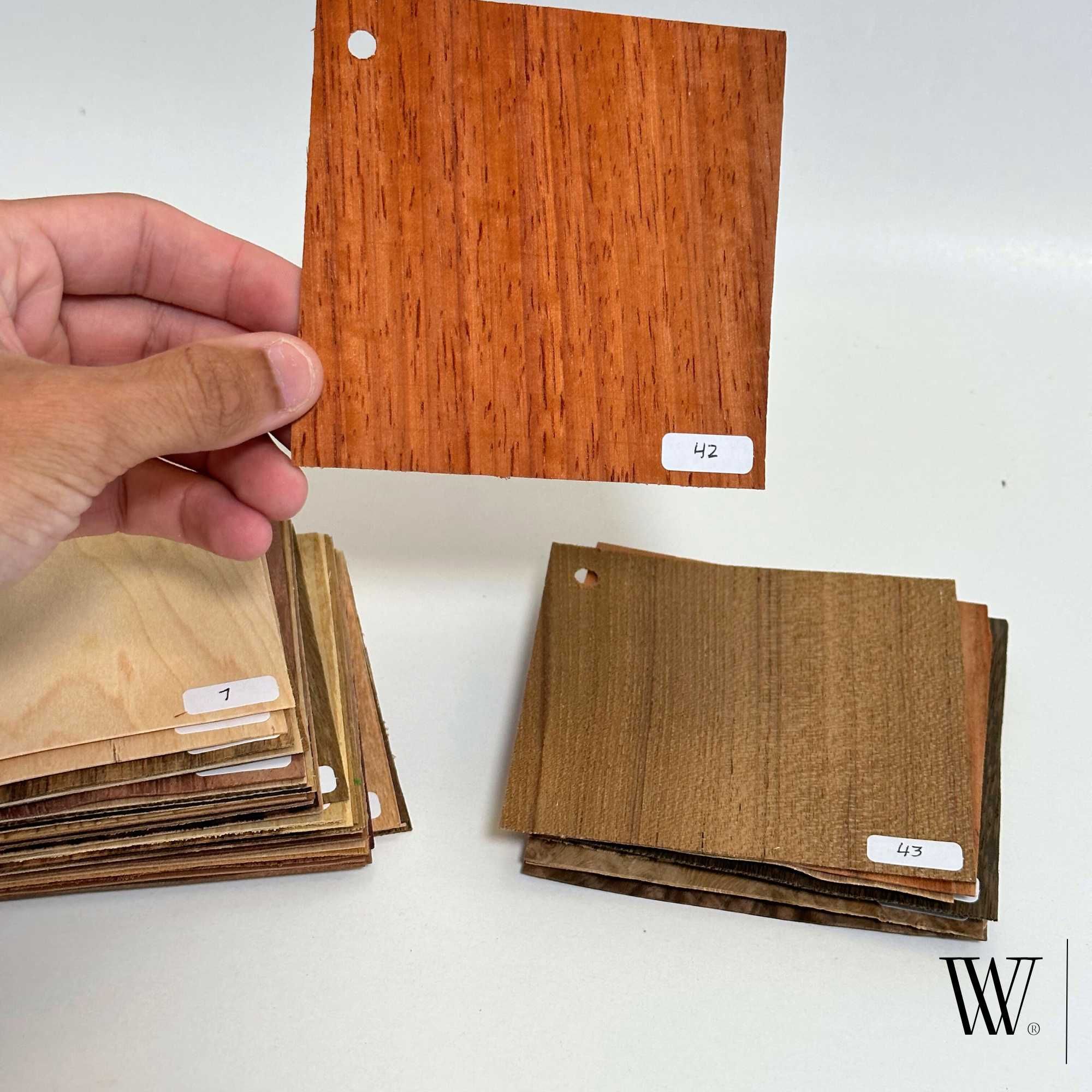 Catálogo 50 espécies de madeiras - 10x10cm
