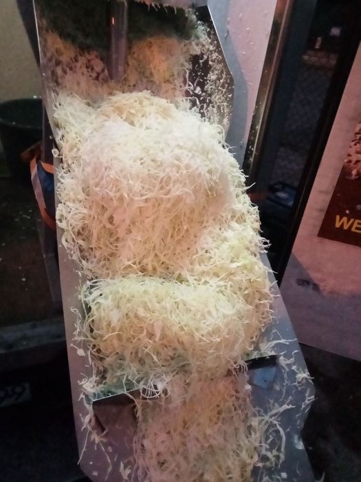 Marchewka jadalna/paszowa