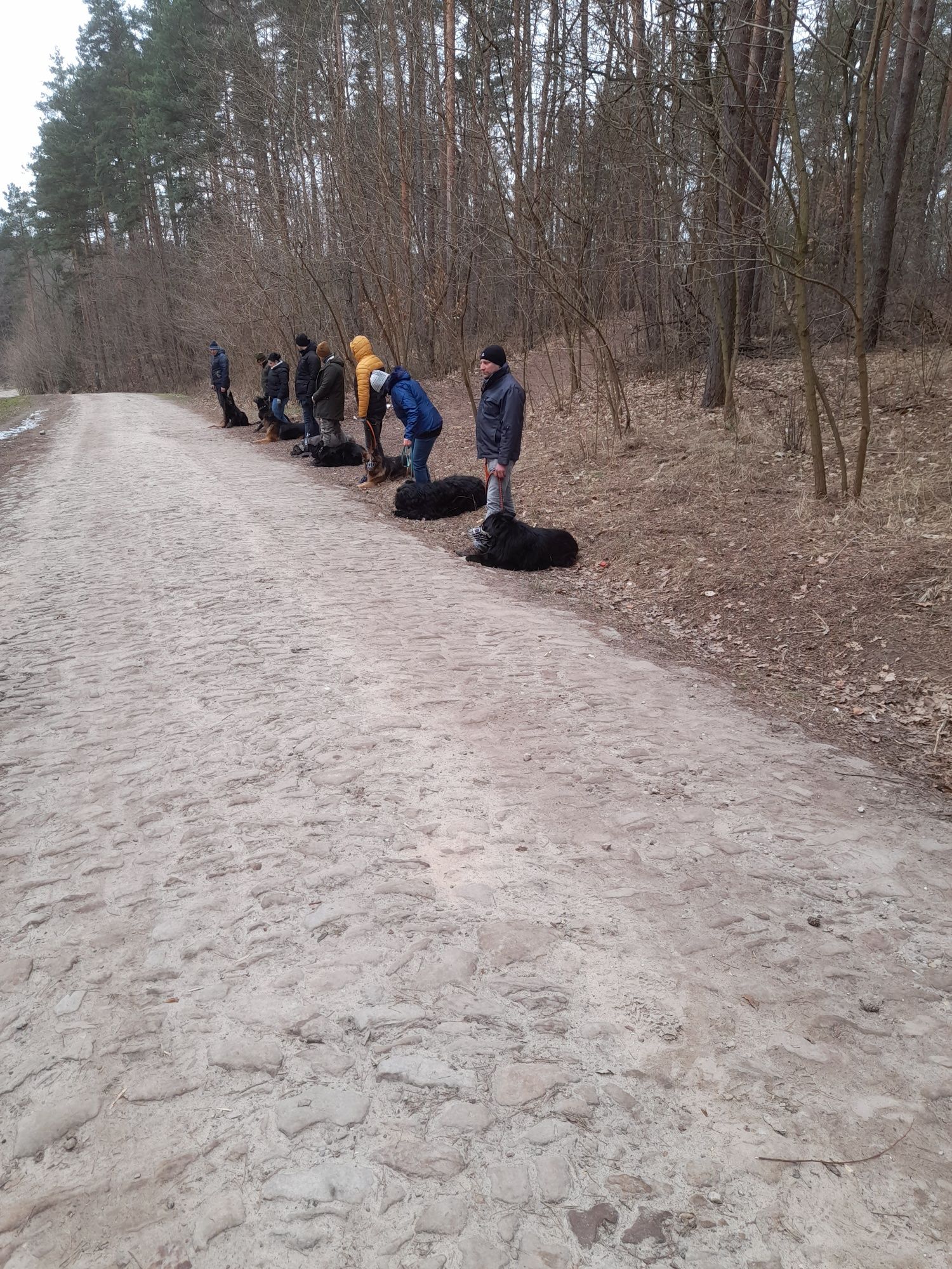 Szkolenie psów masz problem  zdzwoń