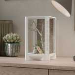 2 sztuki Terrarium, Faunarium, 25x15x15, modliszka, skakun, pająk. Bia