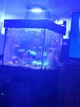Akwarium 120l +sump+ stelarz
