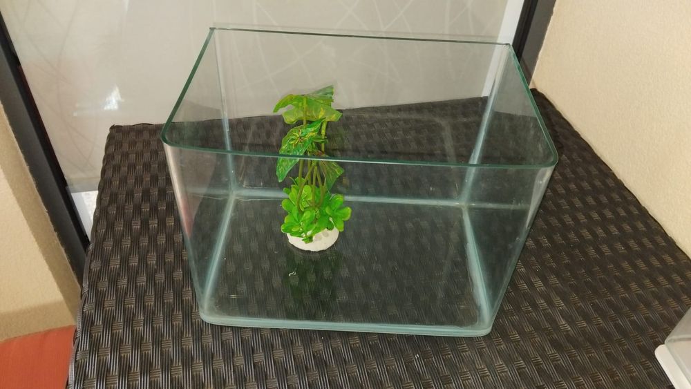Aquário para peixes