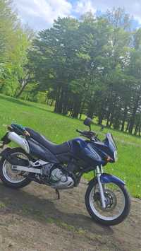 Suzuki Freewind 650