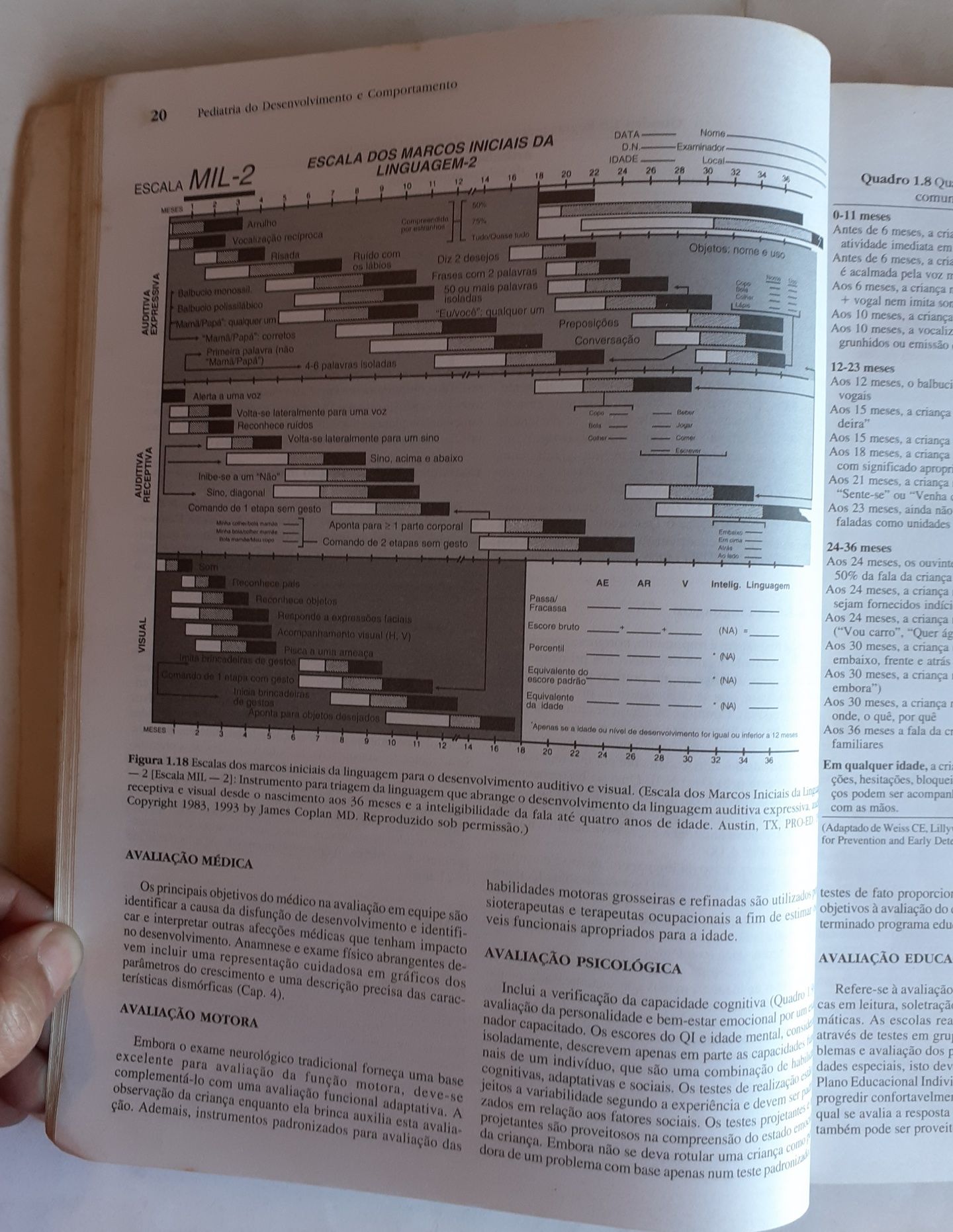 Livro Princípios de Pediatria - Segunda Edição