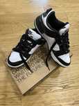 Nike Dunk Low Disrupt 2