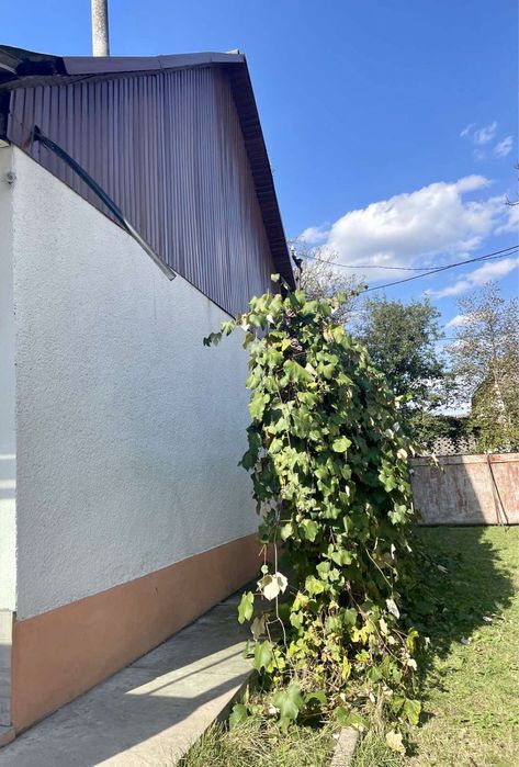 Продається будинок в смт Буштино