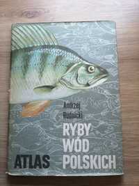 Atlas Ryby Wód Polskich