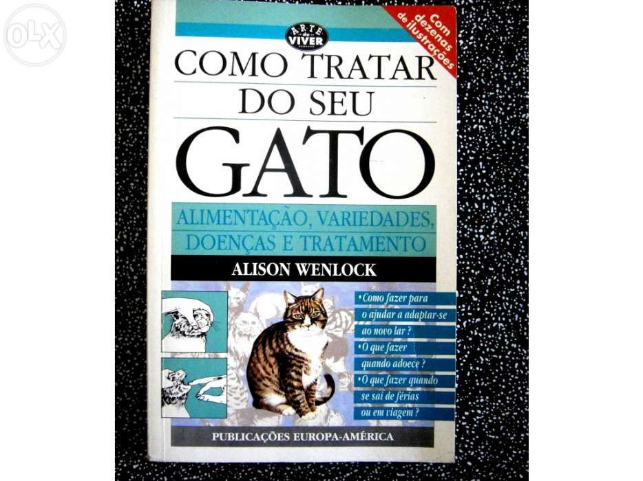 Como tratar do seu gato alimentação, variedades,doenças e tratamento