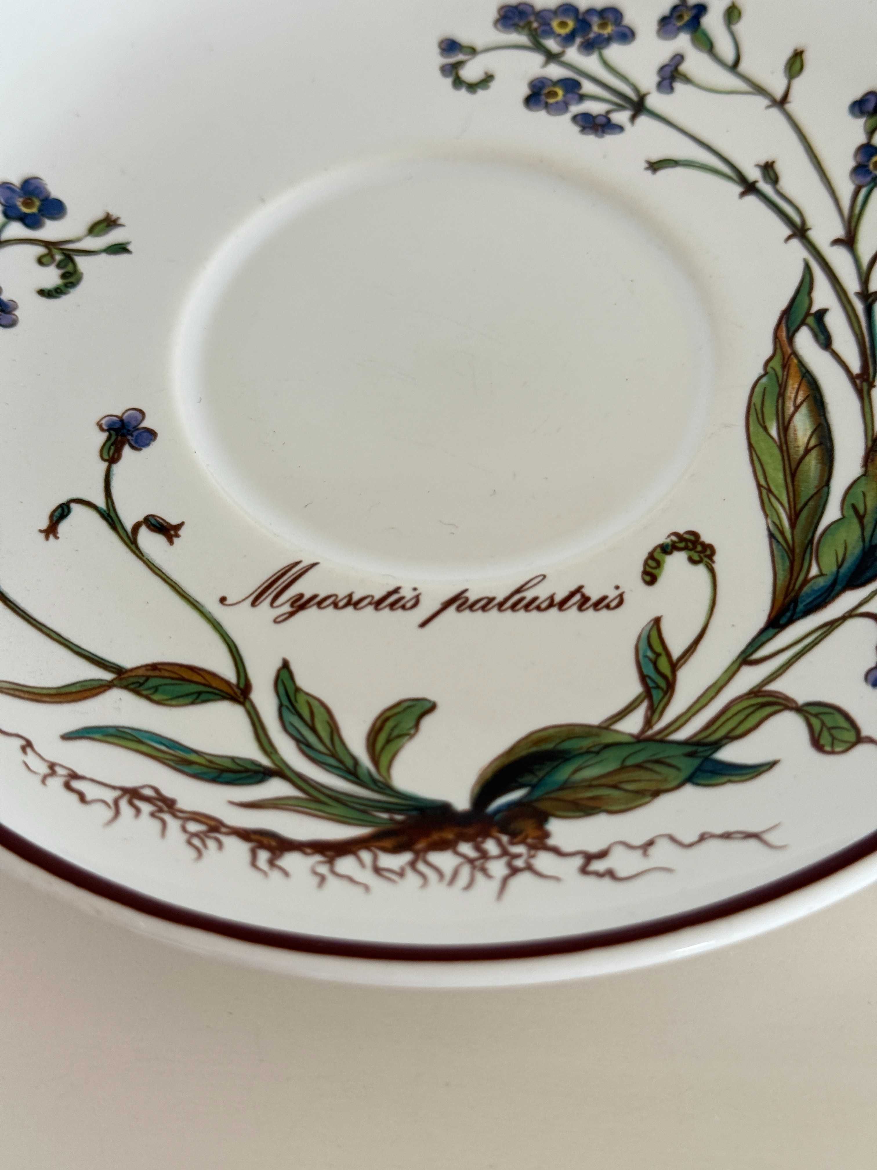 Filiżanka Botanica Villeroy &Boch porcelana vitro kwiaty przyroda kawa