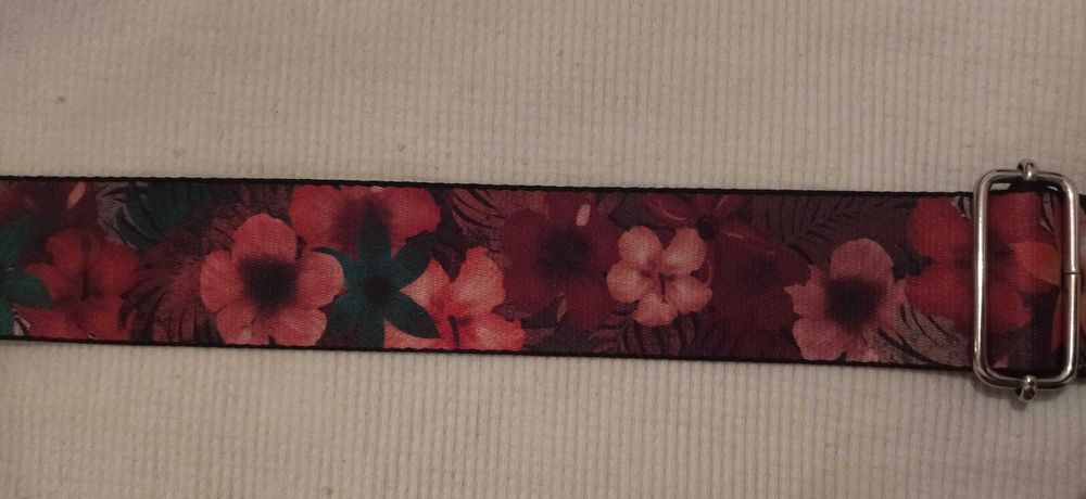 Tanglewood acústica muito estimada original