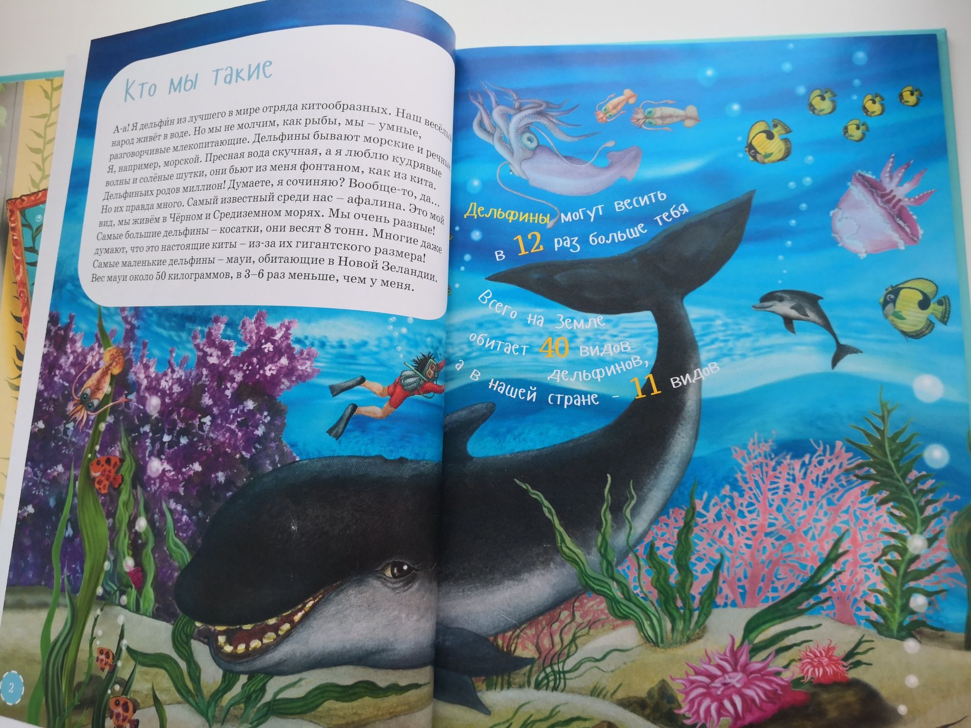 Книга Я дельфин, Владимир Мирзоев, книга про жизнь дельфинов для детей