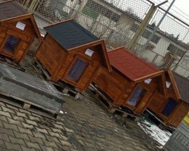 Buda dla psa ocieplana, kurtyna gratis