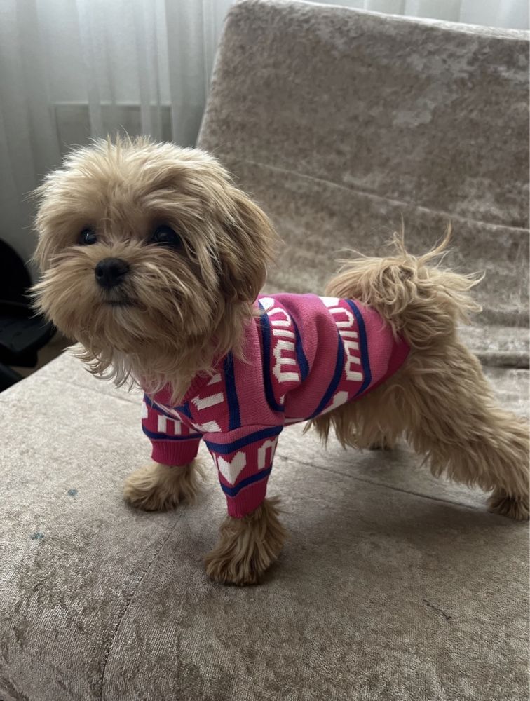 Nowy sweterek ubranko dla psa M