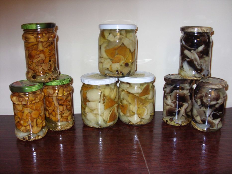 Dary leśne ekologiczne