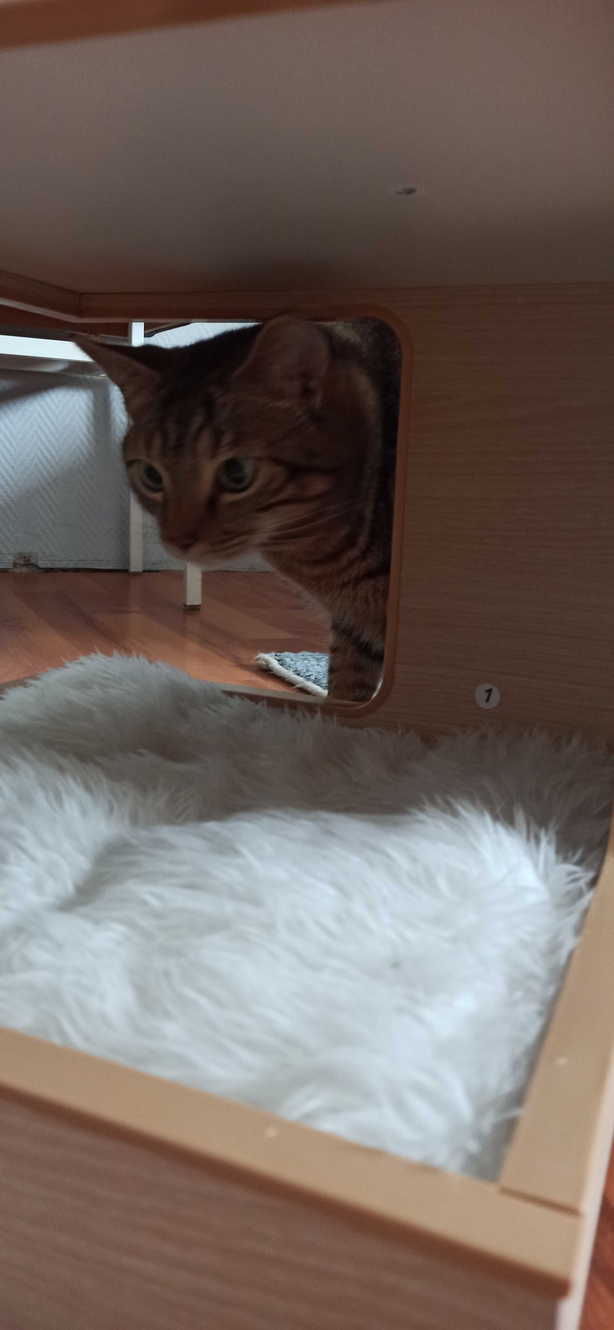 Drapak. Cat tower