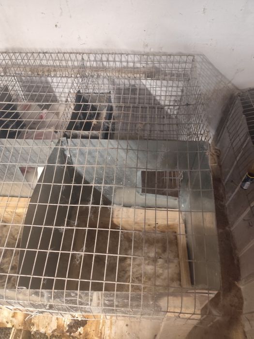 Продаю клітки для кроликів