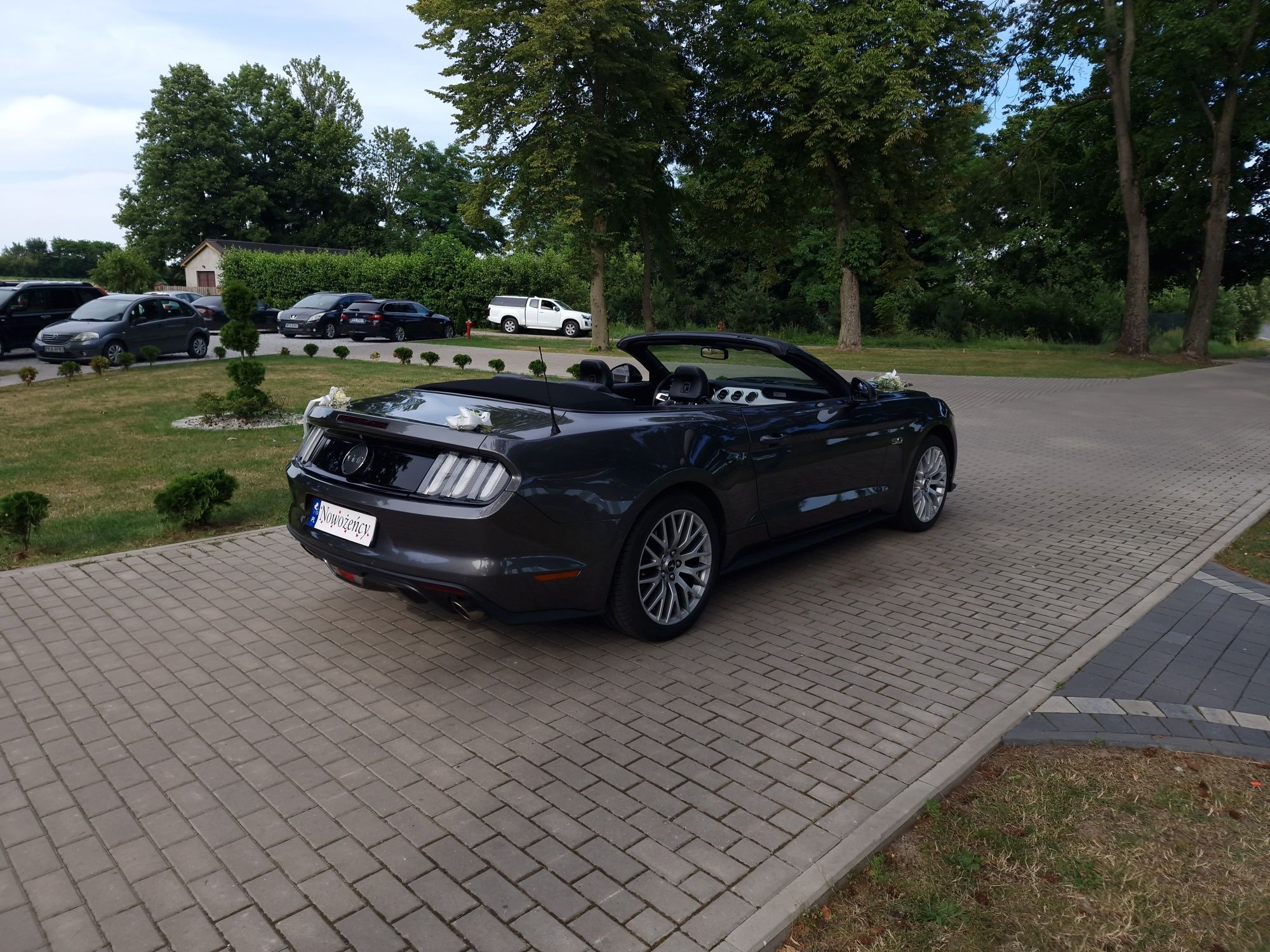 Auto do Ślubu,CABRIO,Mustang GT 5.0 V8 430KM,wolne terminy 2025