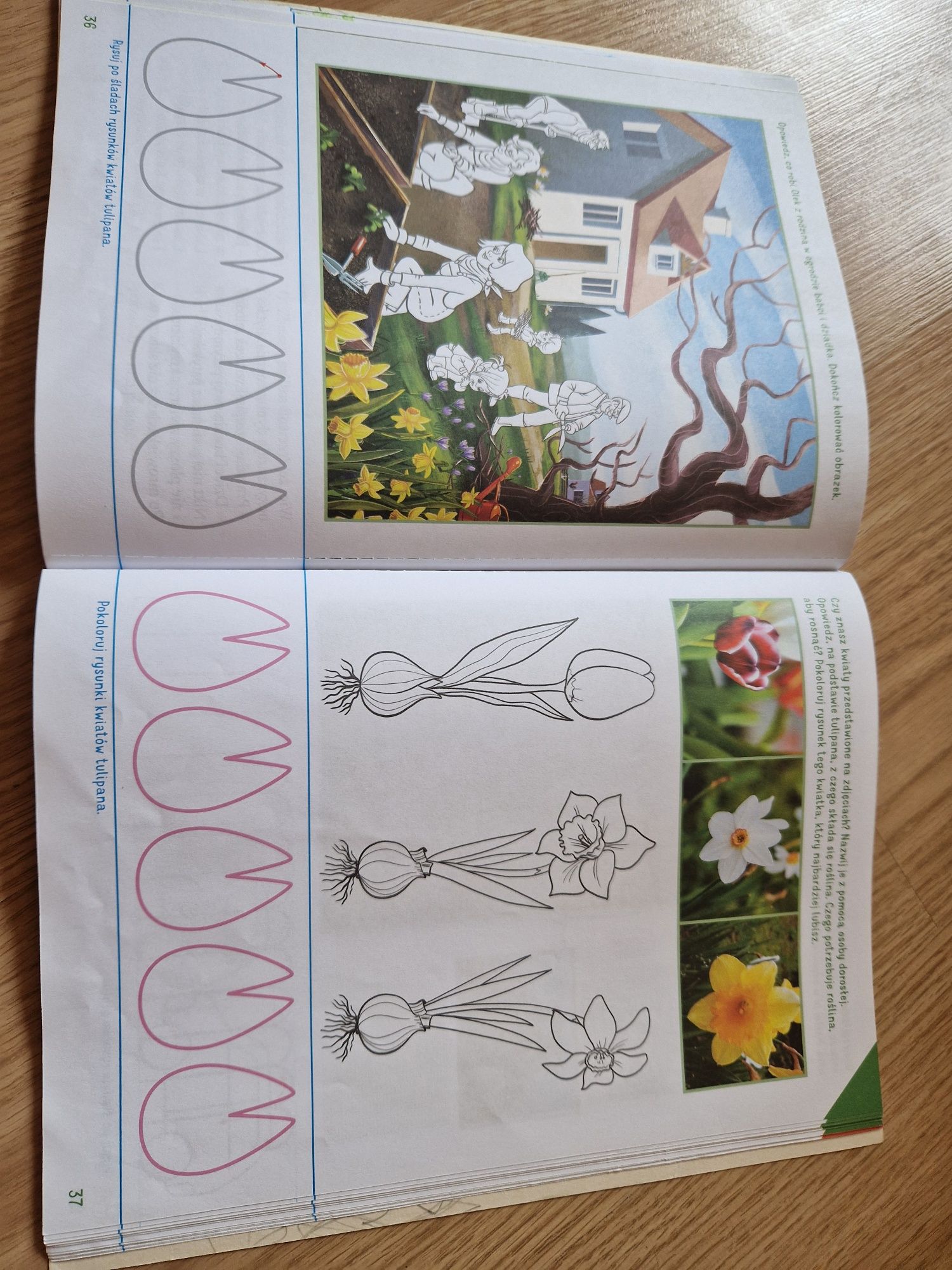 Olek i Ada karty pracy cz.2 / mac edukacja