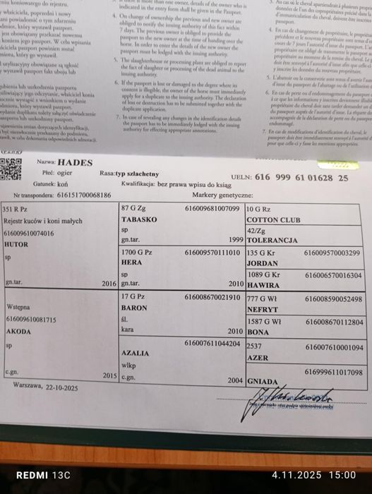 Ogierek z kwietnia tego roku