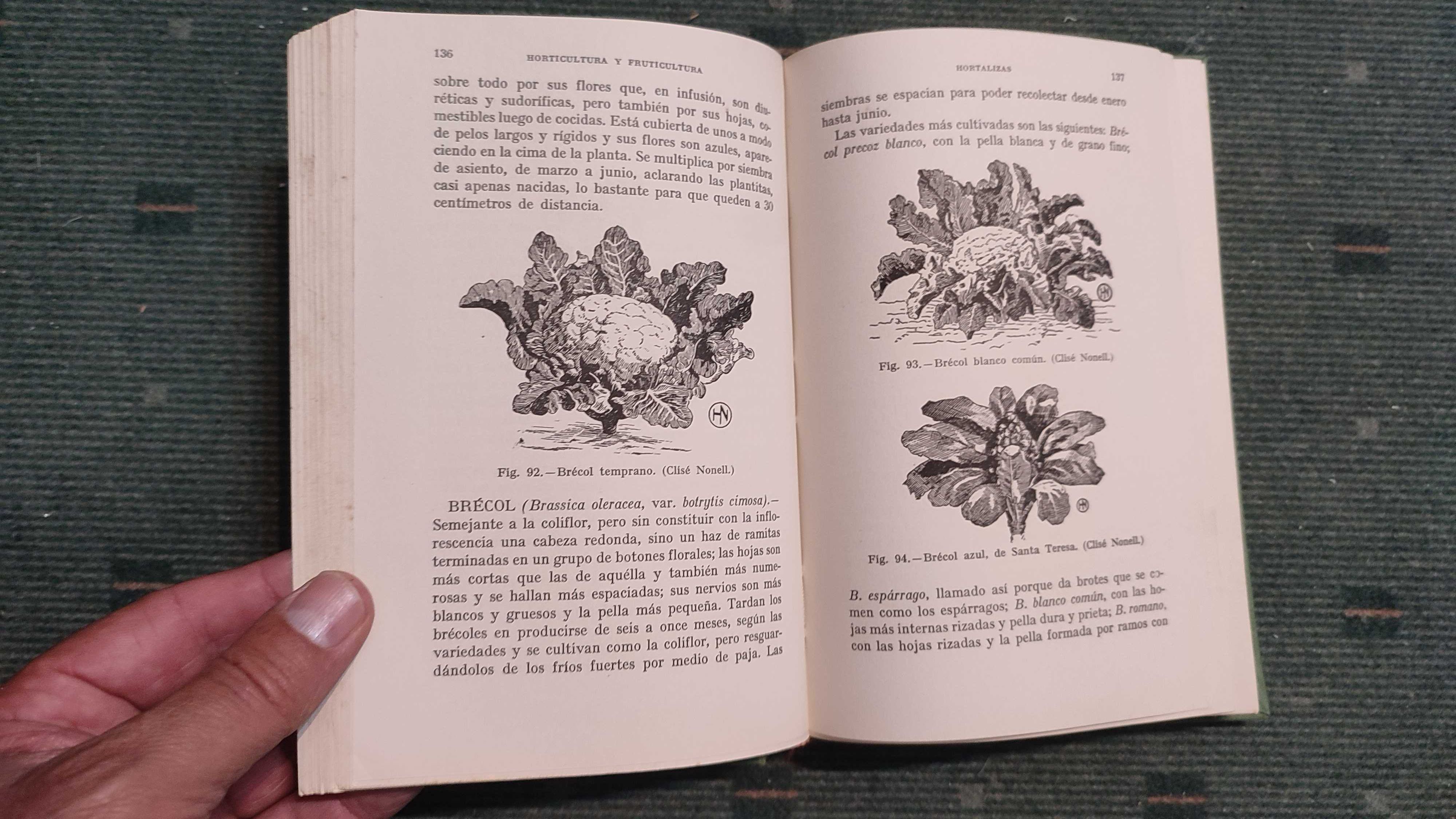Horticultura y Fruticultura - Rogelio Pena