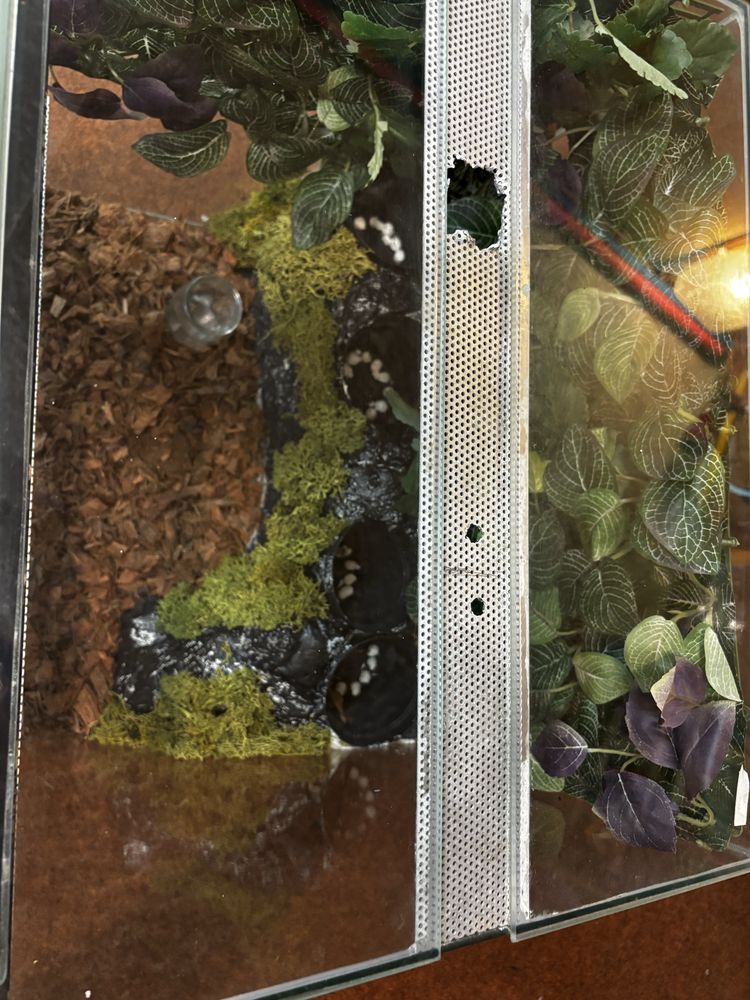 Terrarium 48x50x40