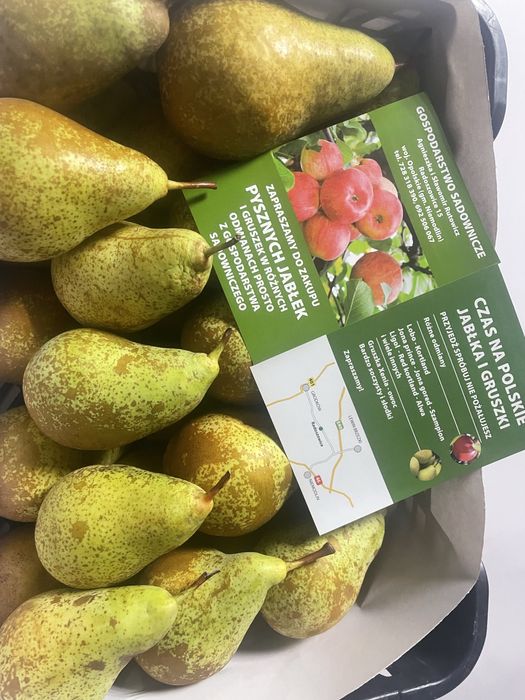 Sprzedam pyszne gruszki z własnego sadu