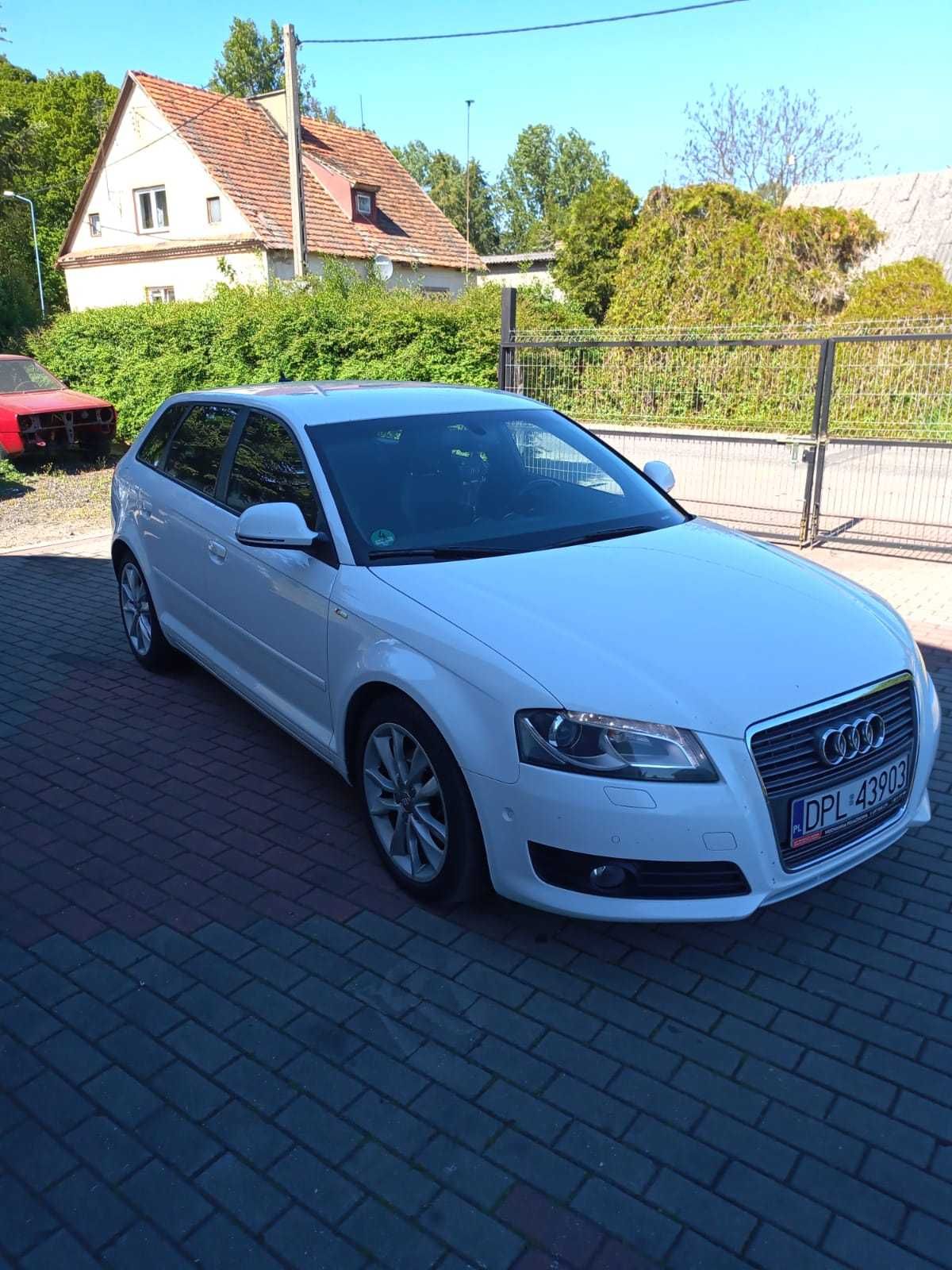 Audi A3 8P S-line