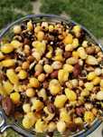 Mix ziaren fermentowanych - 1 kg