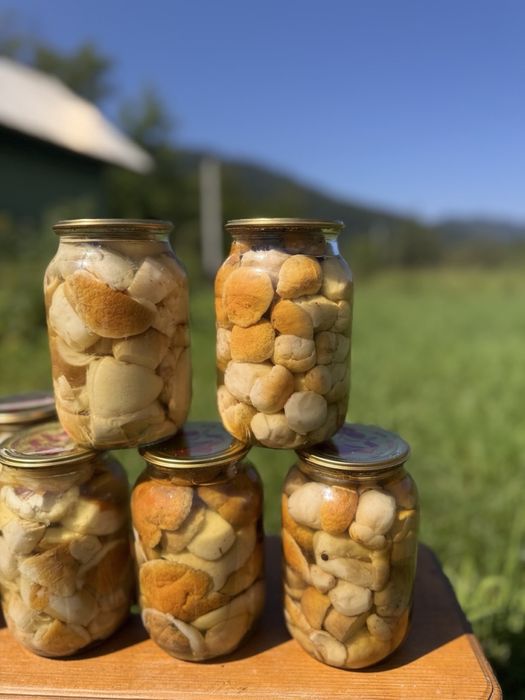 Гриби білі сушені банки літрові мариновані