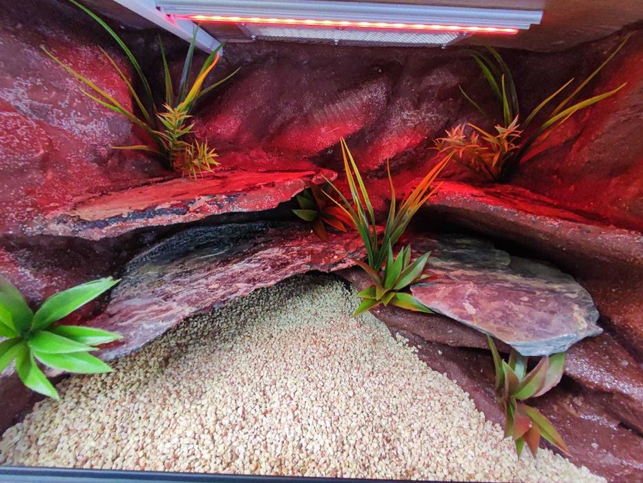 Terrarium pustynne nr645 60/40/40 dla gekona lamparciego NA ZAMÓWIENIE