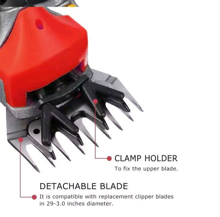 Tosquiadeira de ovelhas