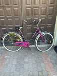 Rower z Holandii