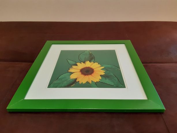 Obraz Słonecznik w zielonej ramie 44 x 44