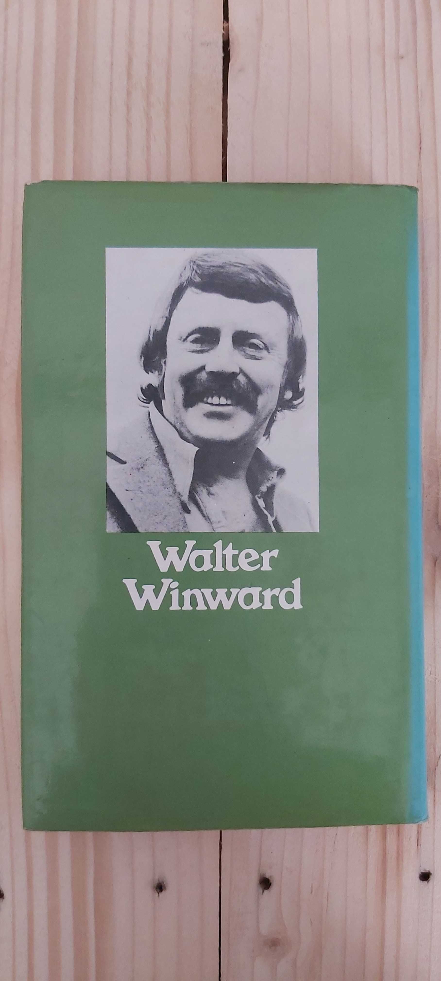 Livro Ref Cx B: Sete minutos depois da meia-noite - Walter Winward