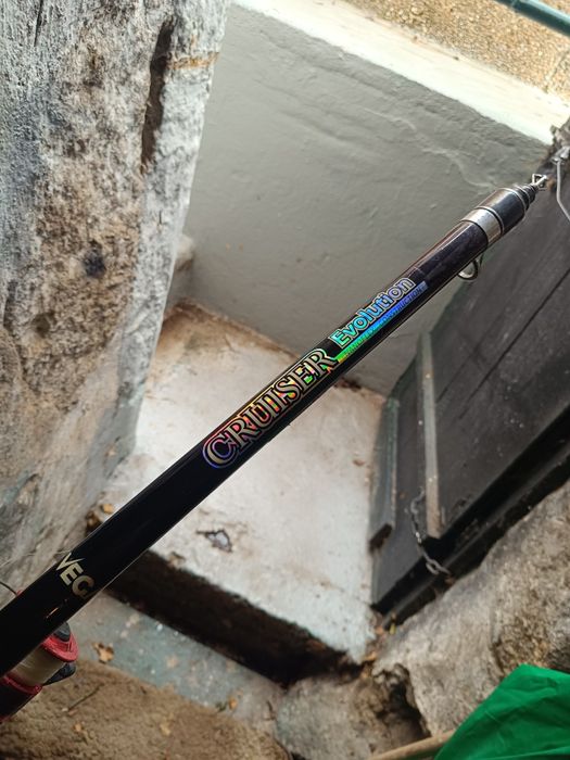 Cana de pesca Vega com carreto 4.50m