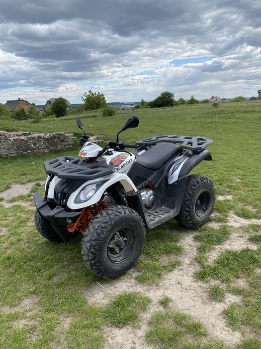 KAYO Bull 200 (2021)