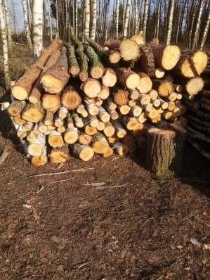 Drewno opałowe, brzoza