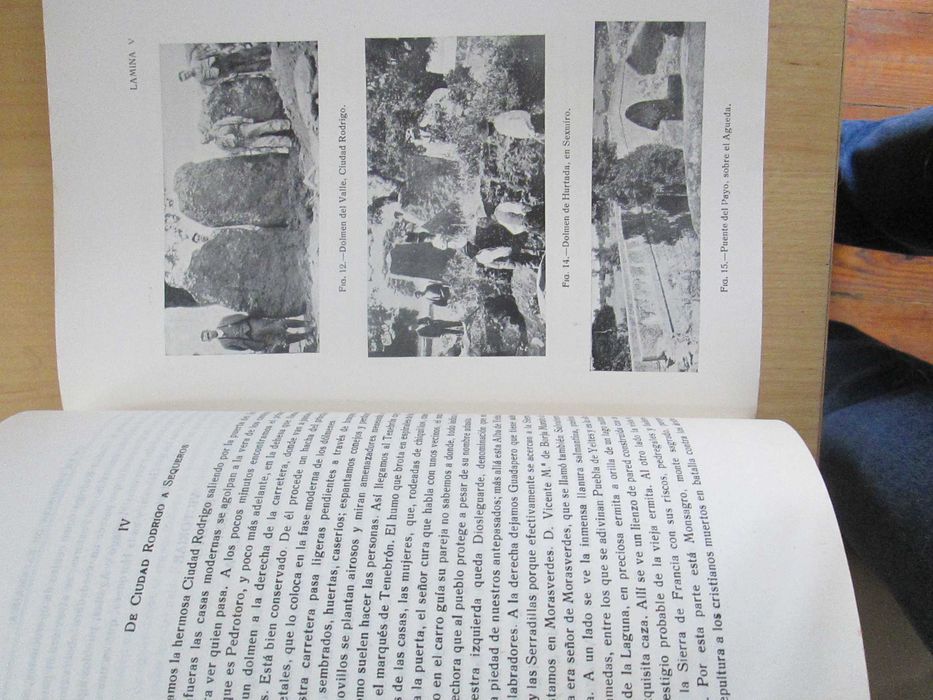 Reseña histórico-artística de la provincia de Salamanca, César Morán
