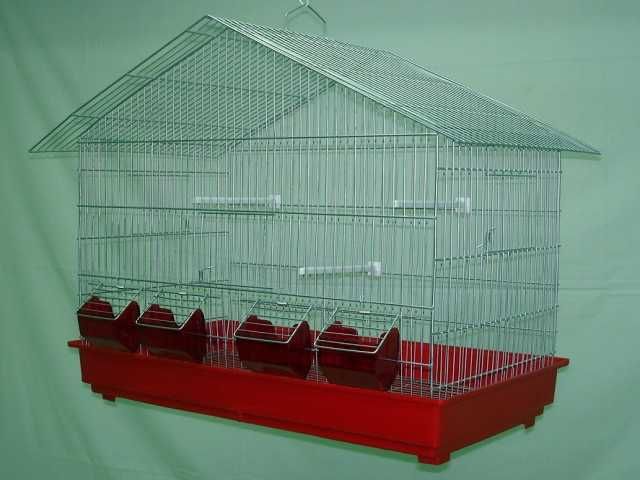 Diamantes gold e outras aves Domésticadas