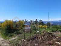 Terreno Rustico