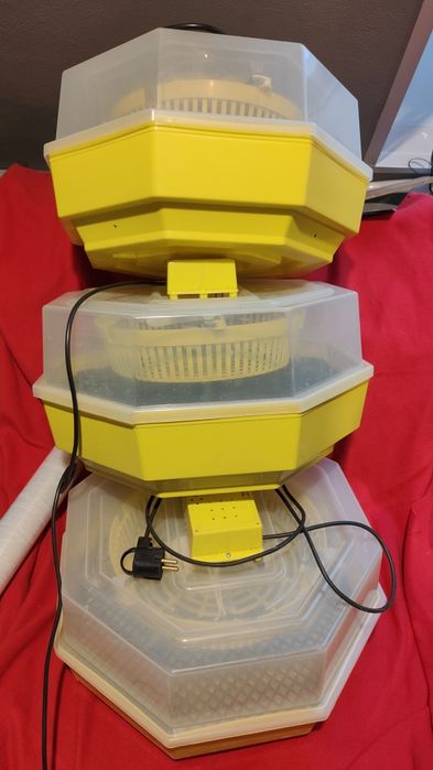 3x Inkubator klujnik Cleo 5 -kury, biegusy