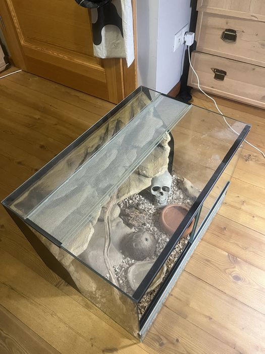 Terarium dla gekona i nie tylko. Pełne wyposażenie